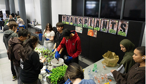 image of student planting